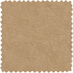 Sahara